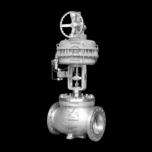 CV2000 Cage Control Valves